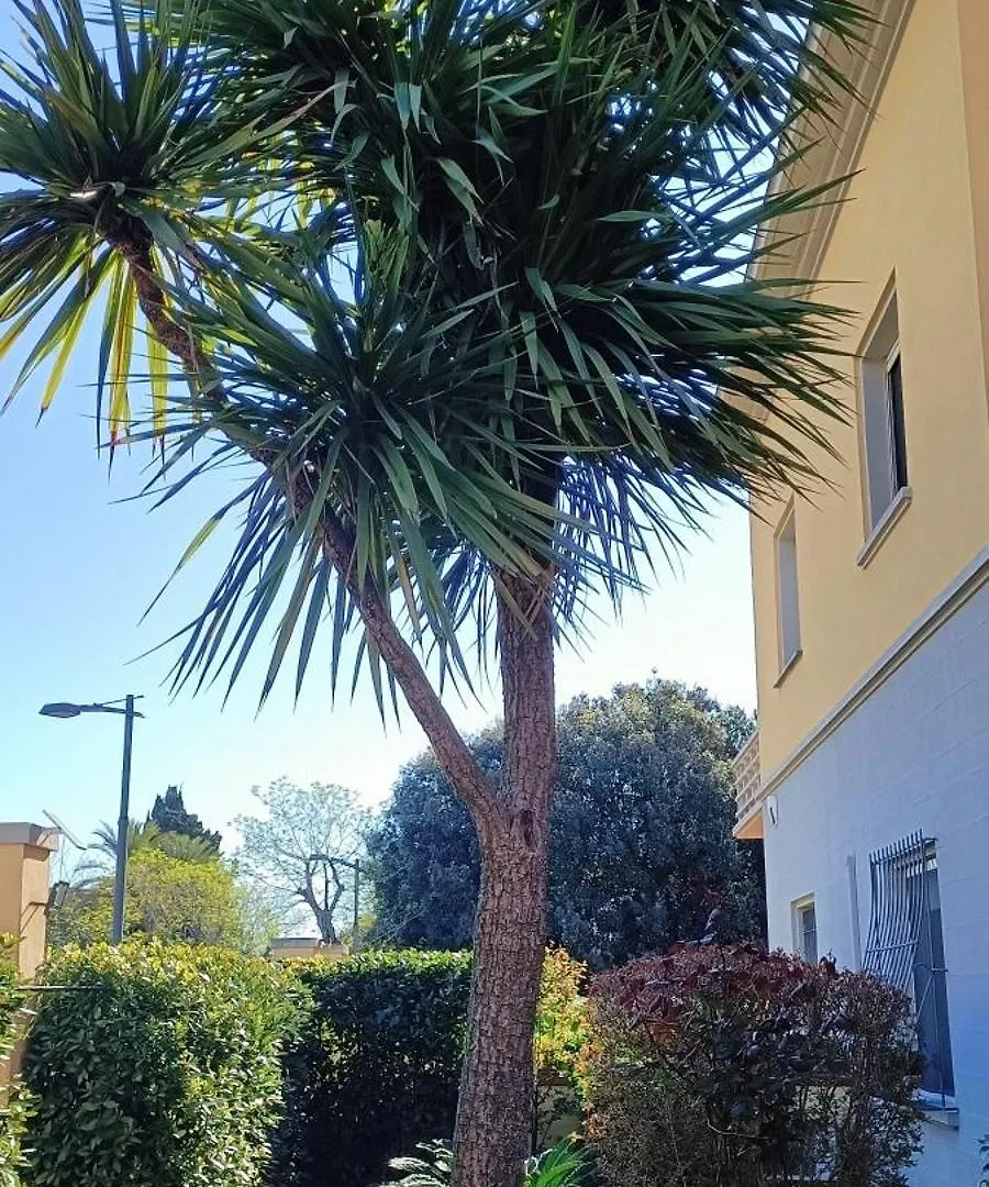 Casa In Giardino Apartment Piombino Italy